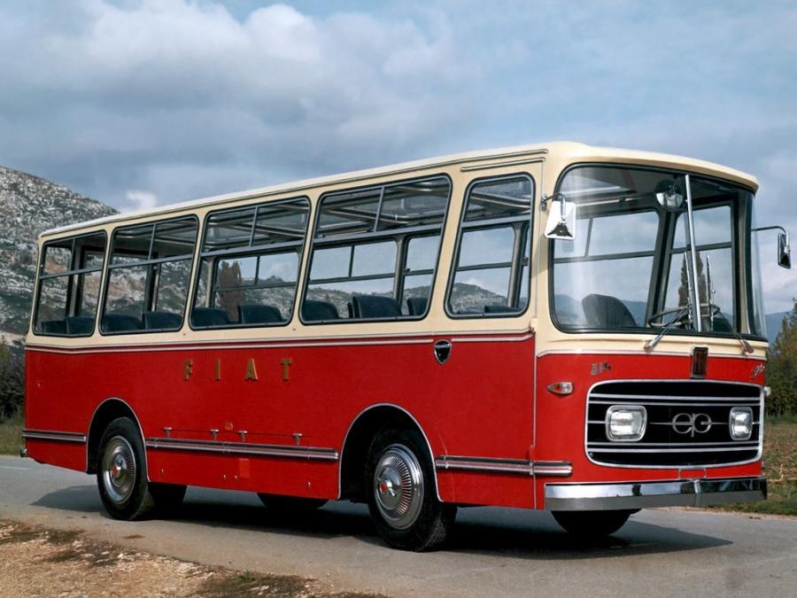  Fiat 314/1 Portesi 1970 года  (фото 1 из 1)